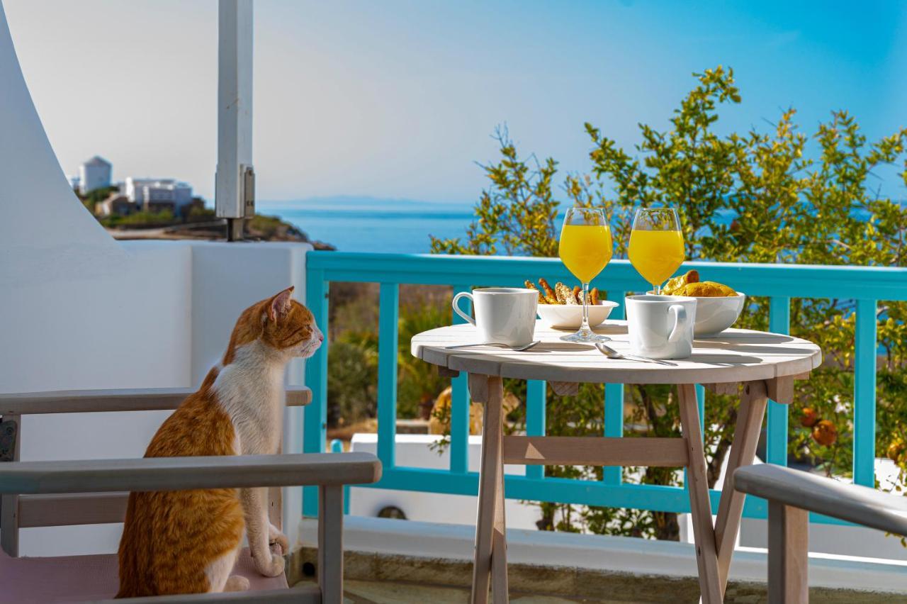 Aegean Dream Apartments Tinos Екстер'єр фото